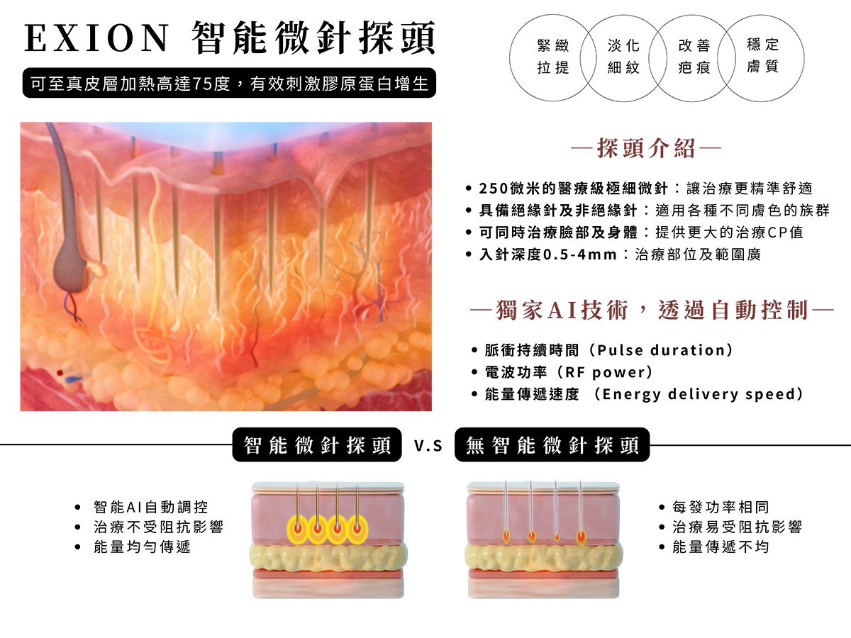 探頭介紹